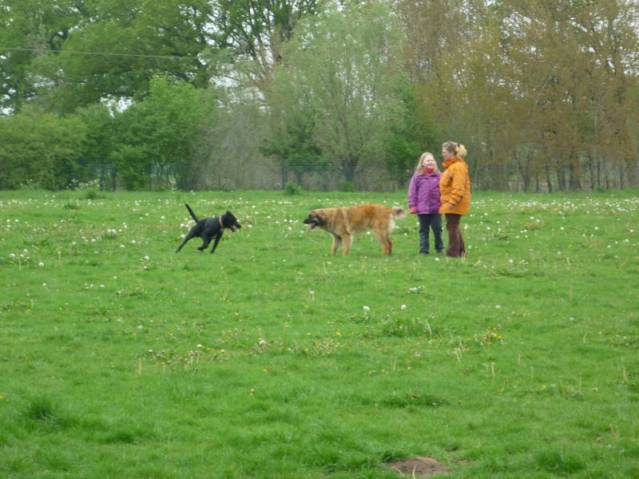 Platz der Galgohilfe Coesfeld 06.05.2012