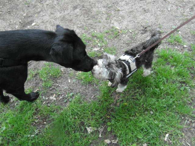 Klfftreff Coesfelder Heide vom 24.06.2012