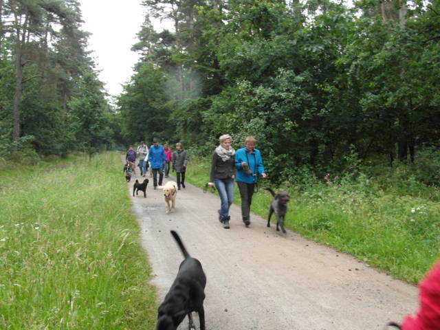 Klfftreff Coesfelder Heide vom 24.06.2012