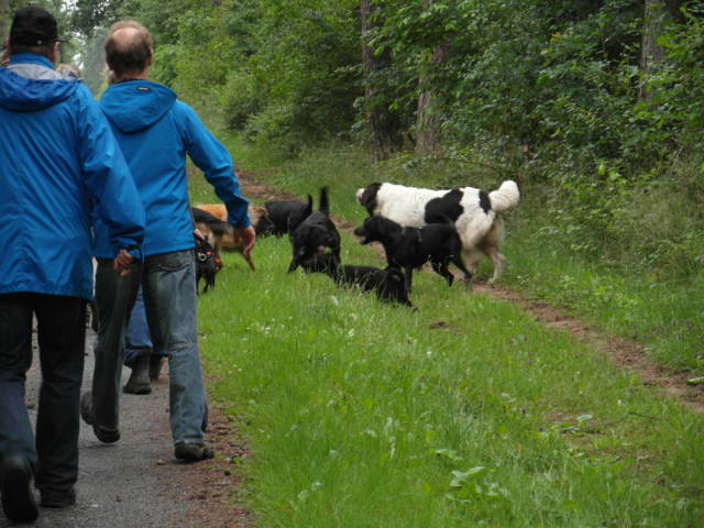 Klfftreff Coesfelder Heide vom 24.06.2012