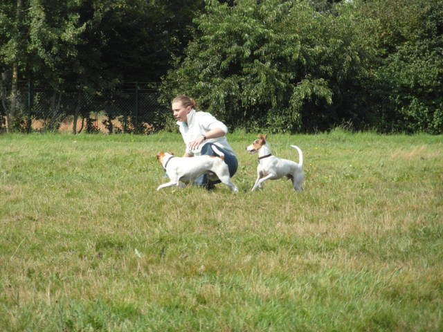 Platz der Galgohilfe Coesfeld 02.09.2012