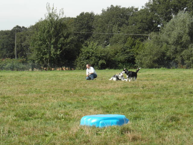 Platz der Galgohilfe Coesfeld 02.09.2012