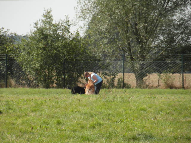 Platz der Galgohilfe Coesfeld 02.09.2012