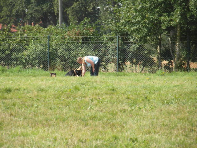 Platz der Galgohilfe Coesfeld 02.09.2012