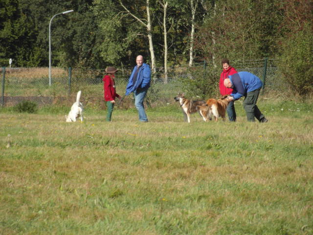 Platz der Galgohilfe Coesfeld 07.10.2012