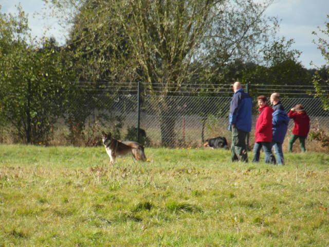 Platz der Galgohilfe Coesfeld 07.10.2012