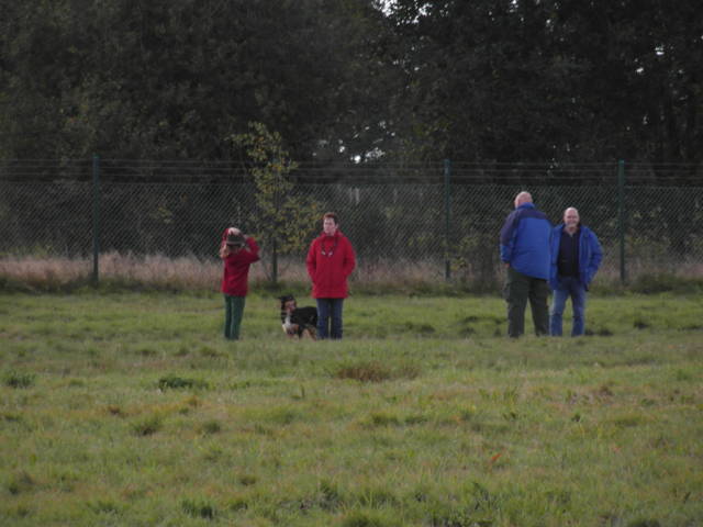 Platz der Galgohilfe Coesfeld 07.10.2012