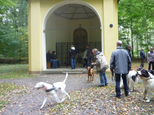Klfftreff Sirksfelder Runde vom 14.10.2012