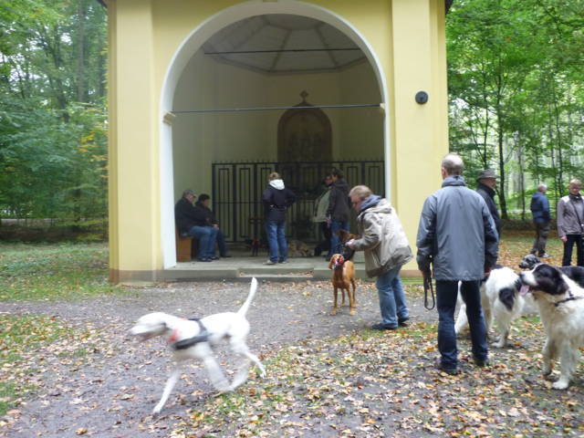 Klfftreff Sirksfelder Runde vom 14.10.2012