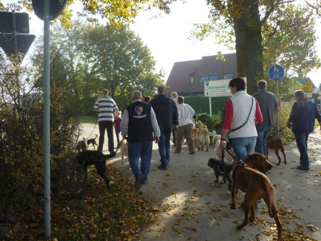 Klfftreff Harler Runde vom 21.10.2012