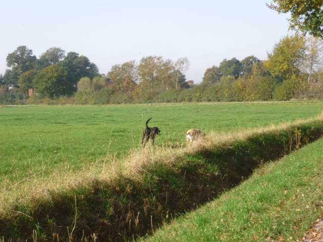 Klfftreff Harler Runde vom 21.10.2012