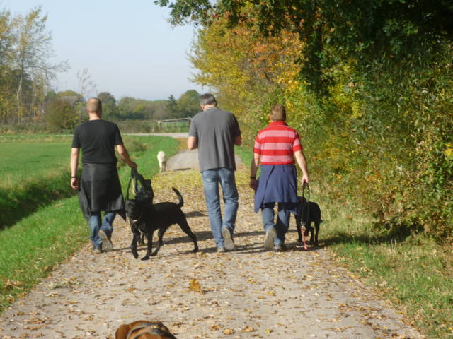 Klfftreff Harler Runde vom 21.10.2012