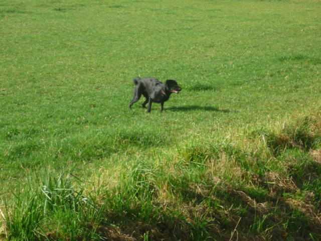 Klfftreff Harler Runde vom 21.10.2012