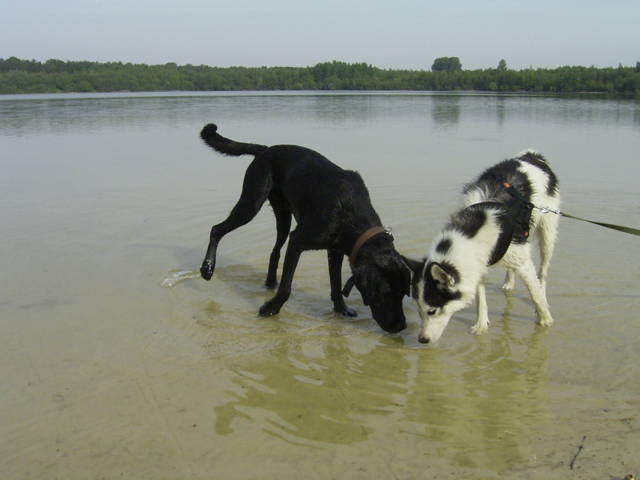 Strandbesuch mit Sara