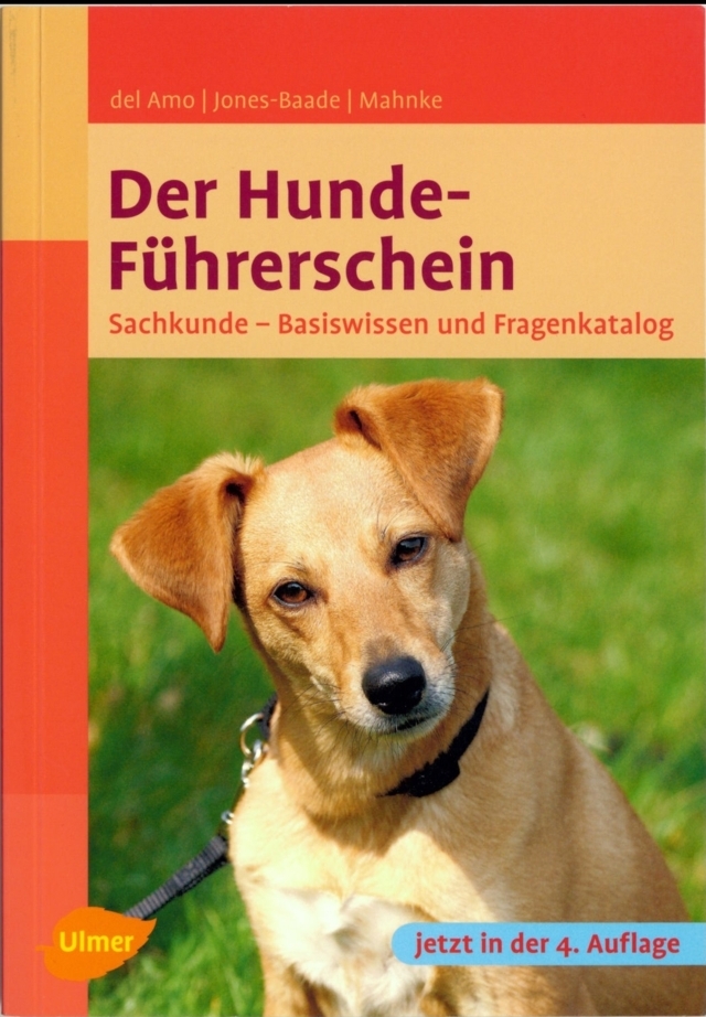 f-schein-v