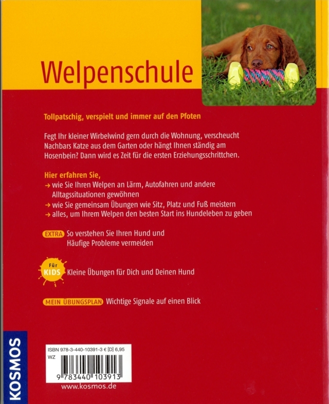 Welpenschule-h