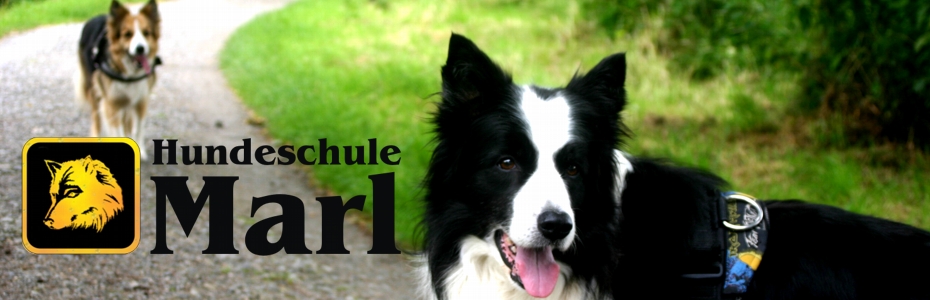 Hundeschule Marl